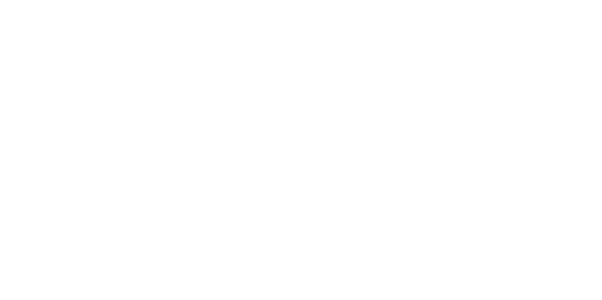 BUDR White Logo